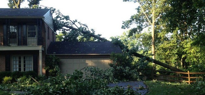 Fallen Tree On House