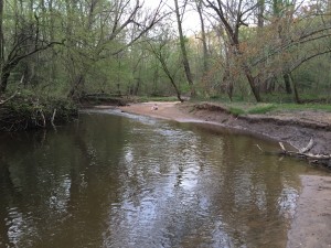 Creek in Charred Oak Estates